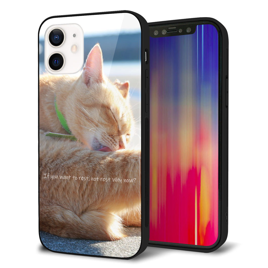 iPhone 12 強化ガラス&TPUスマホケース ガラプリ【KM876 猫】