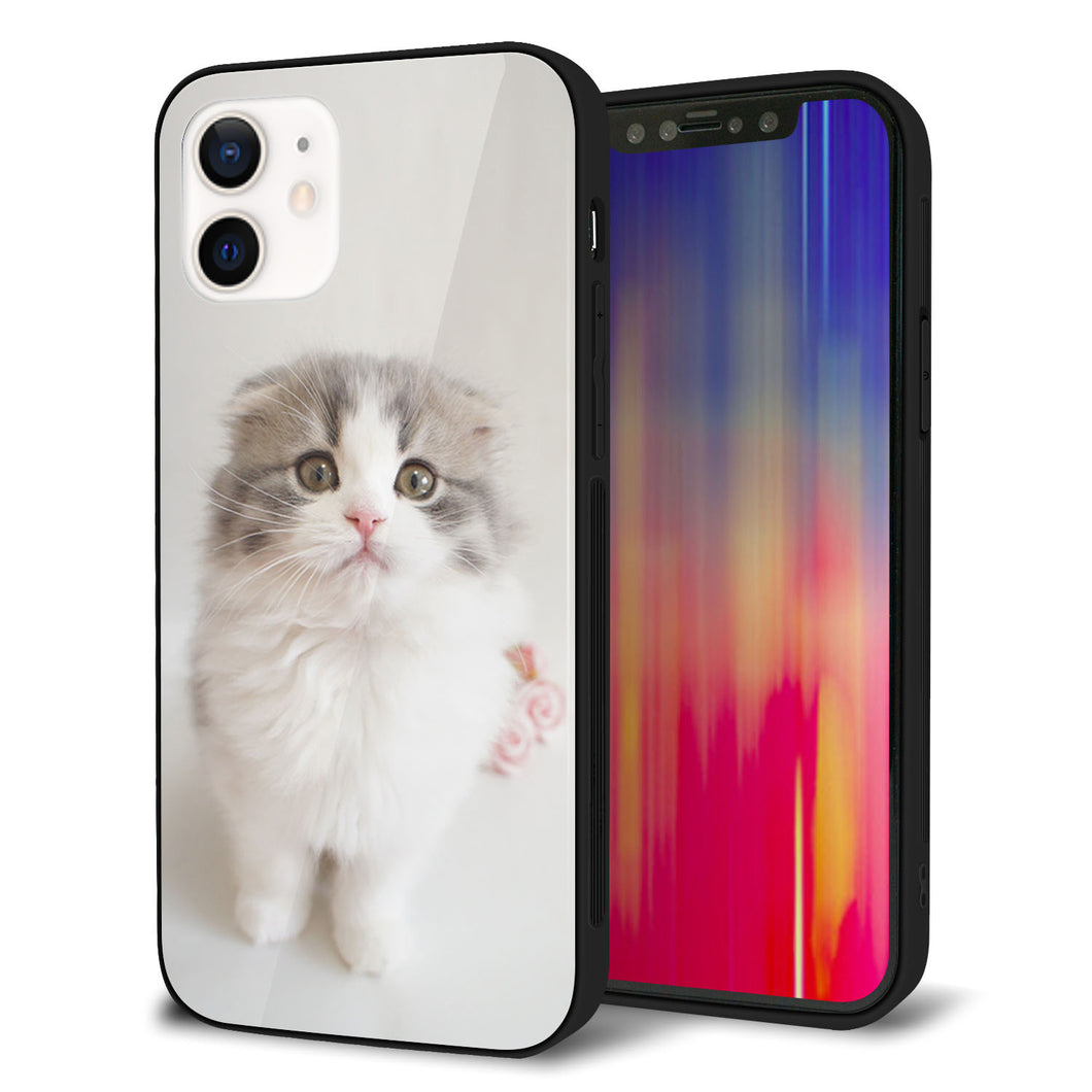 iPhone 12 強化ガラス&TPUスマホケース ガラプリ【VA803 まっていますネコ】