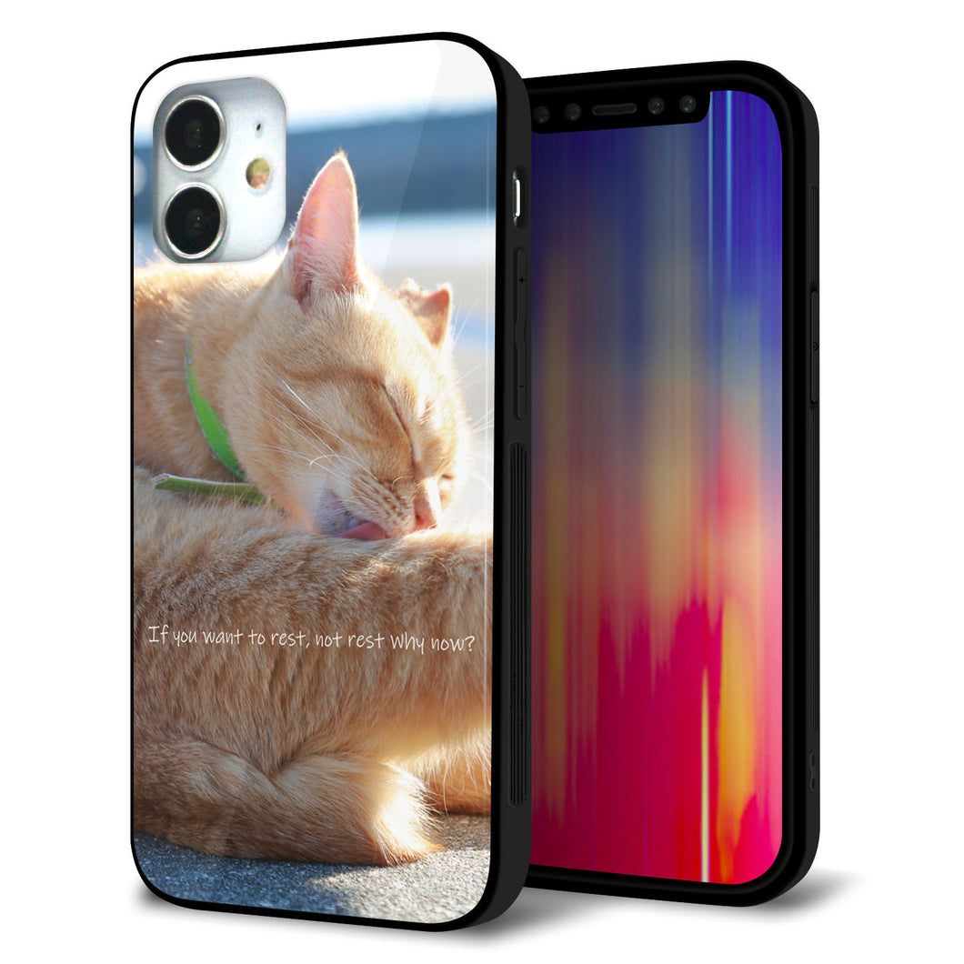 iPhone 12 mini 強化ガラス&TPUスマホケース ガラプリ【KM876 猫】