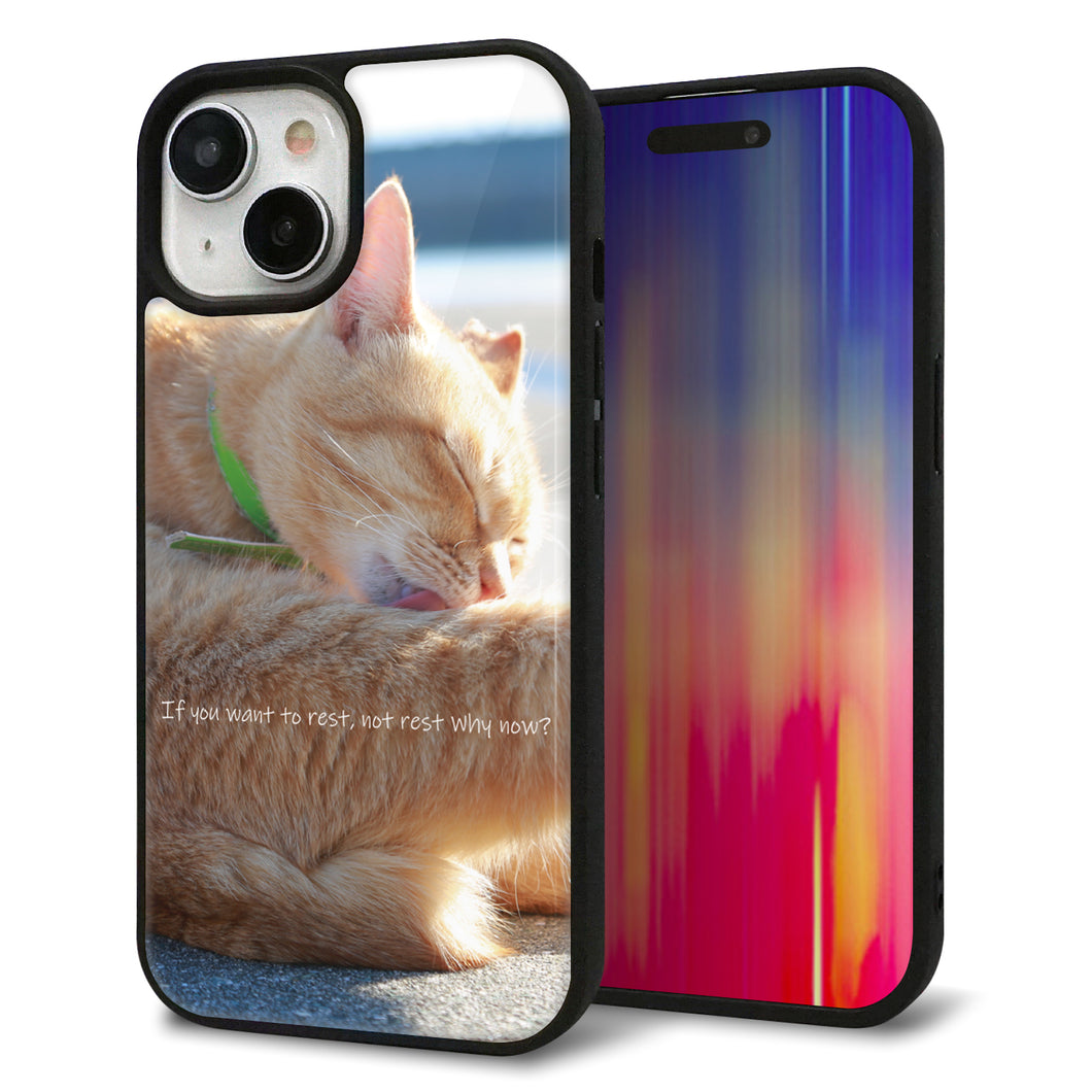 iPhone 15 強化ガラス&TPUスマホケース ガラプリ【KM876 猫】