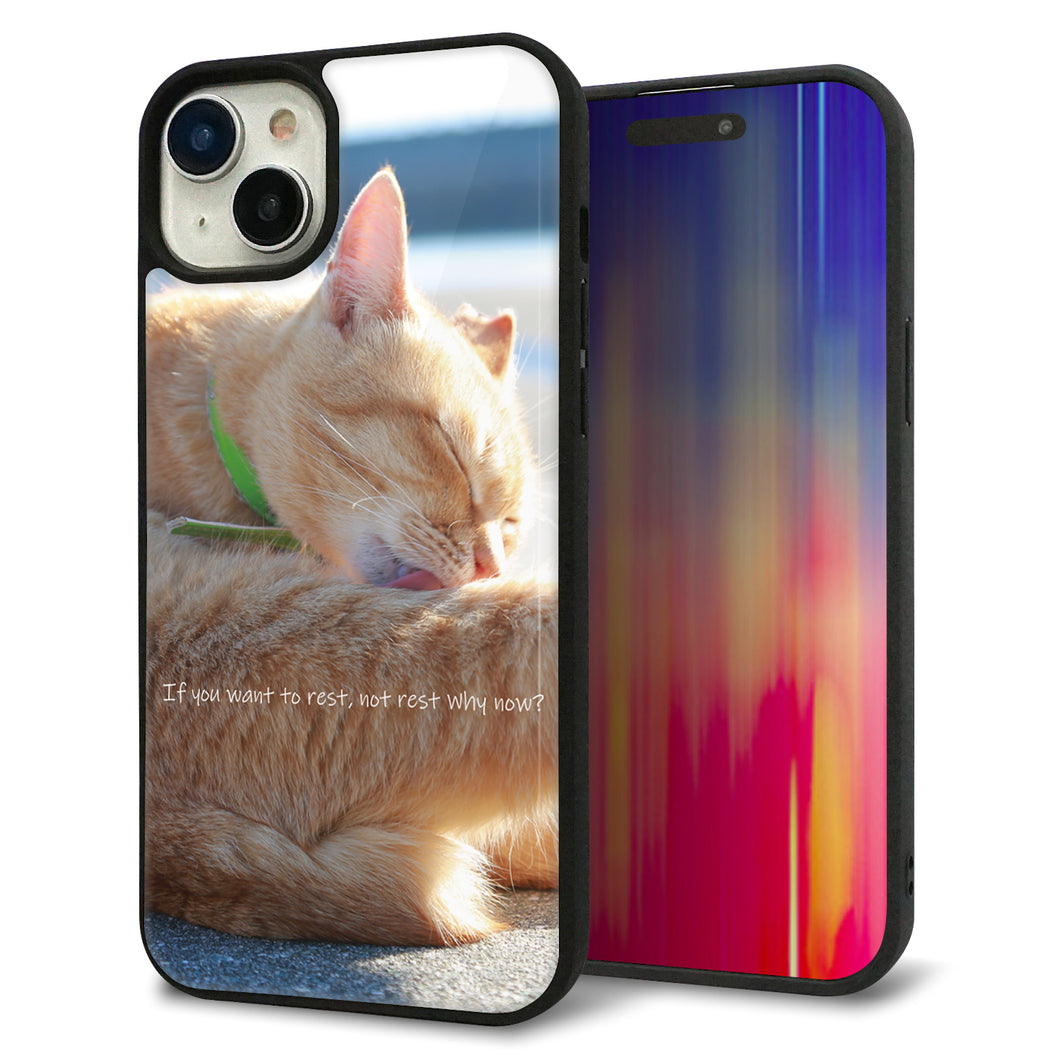 iPhone 15 Plus 強化ガラス&TPUスマホケース ガラプリ【KM876 猫】