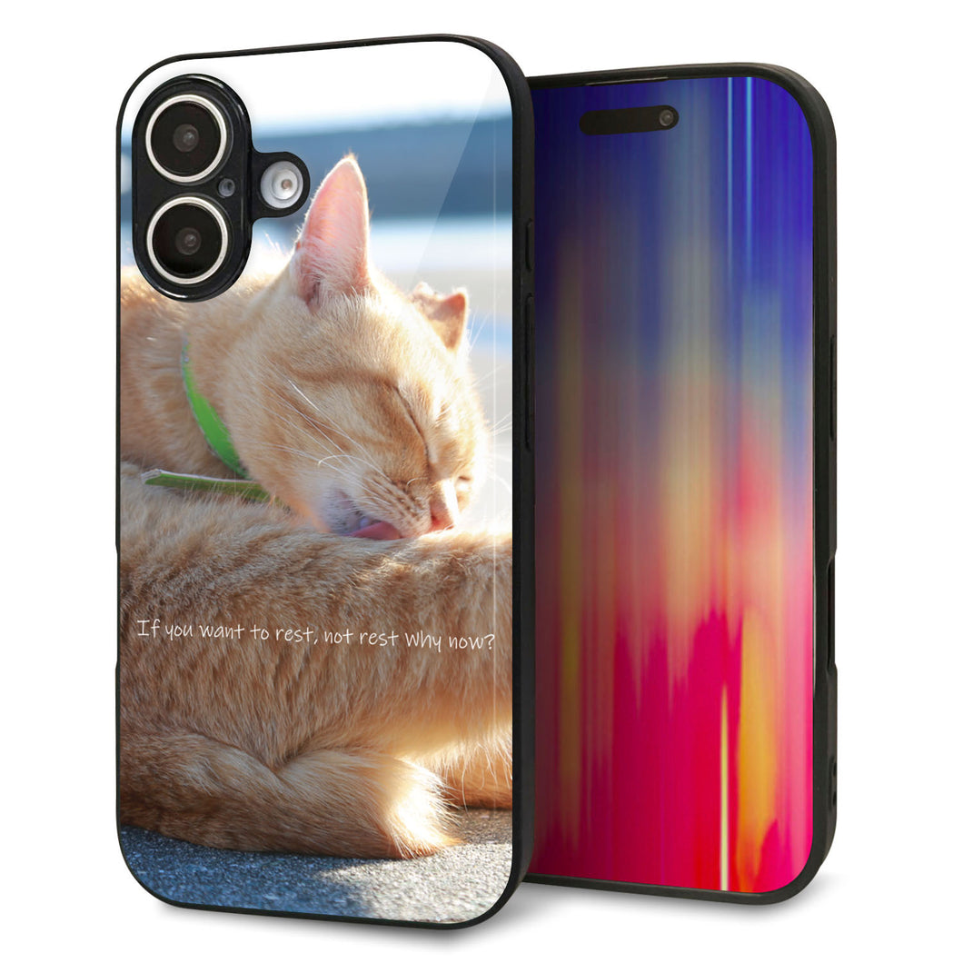 iPhone 16 強化ガラス&TPUスマホケース ガラプリ【KM876 猫】