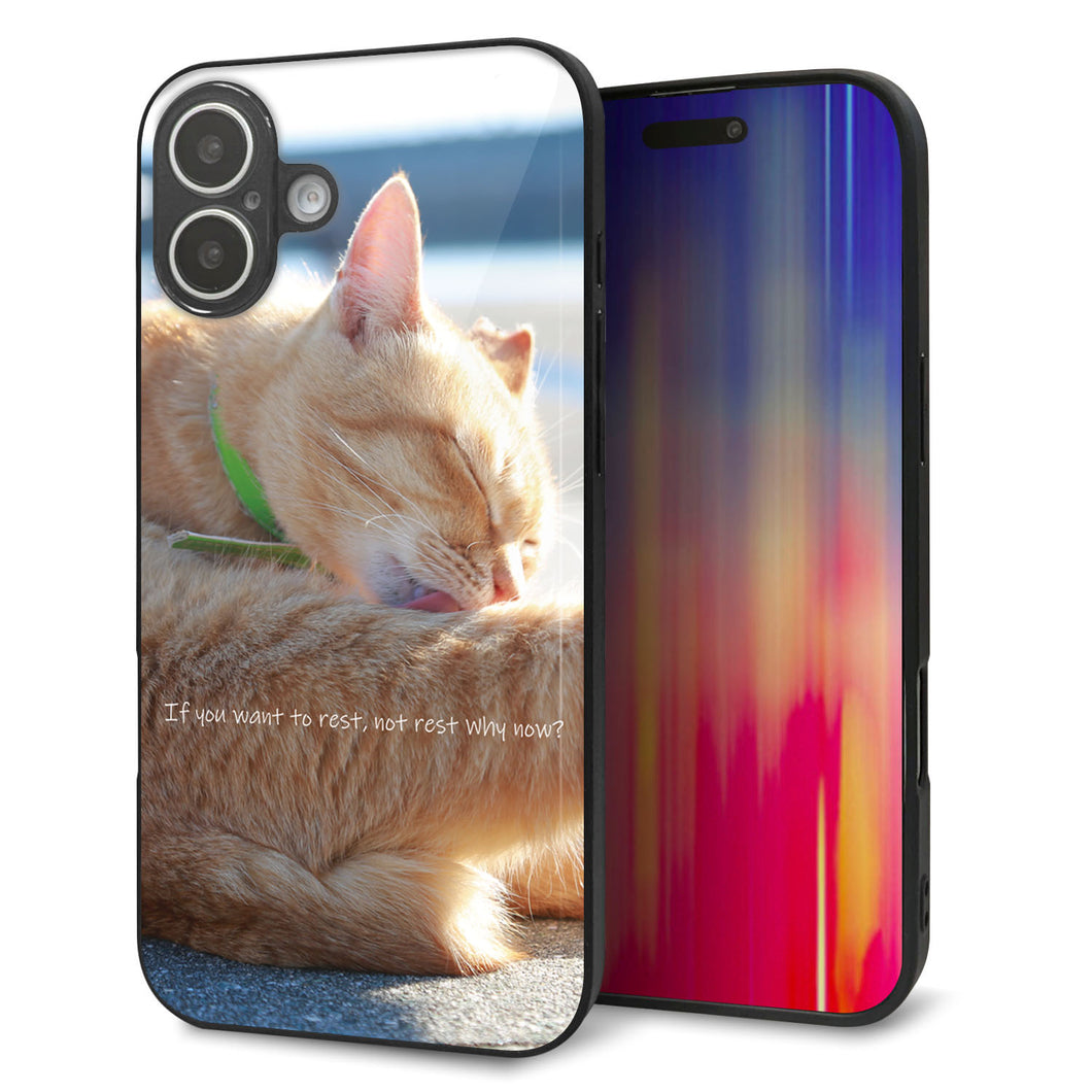 iPhone 16 Plus 強化ガラス&TPUスマホケース ガラプリ【KM876 猫】