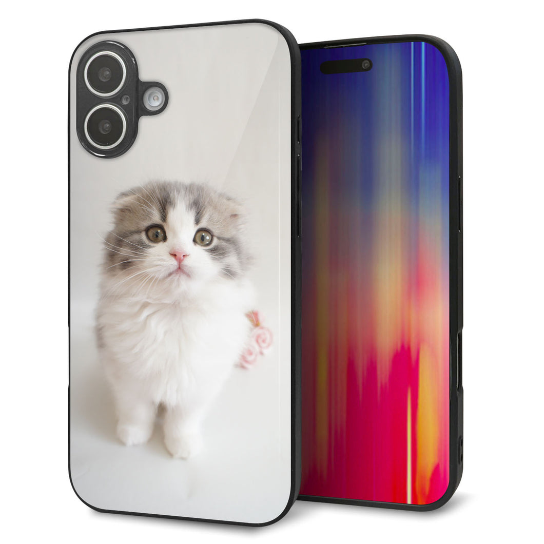 iPhone 16 Plus 強化ガラス&TPUスマホケース ガラプリ【VA803 まっていますネコ】