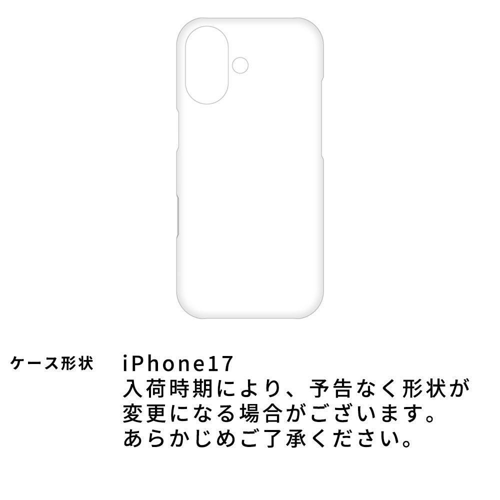 iPhone 17 レンズ完全保護 栃木レザー 手帳型ケース MagSafe対応 CAMHIDE