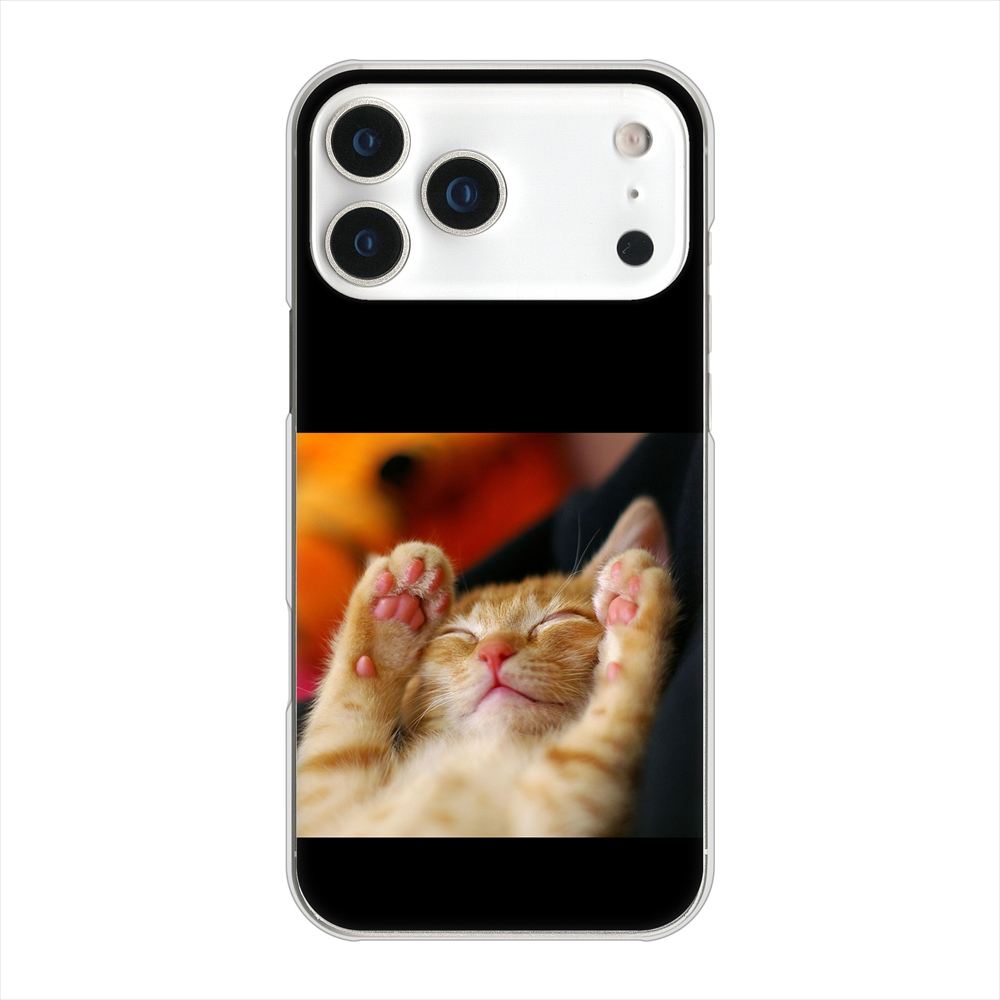 iPhone 18 Pro Max 高画質仕上げ 背面印刷 ハードケース 【VA804 爆睡するネコ】