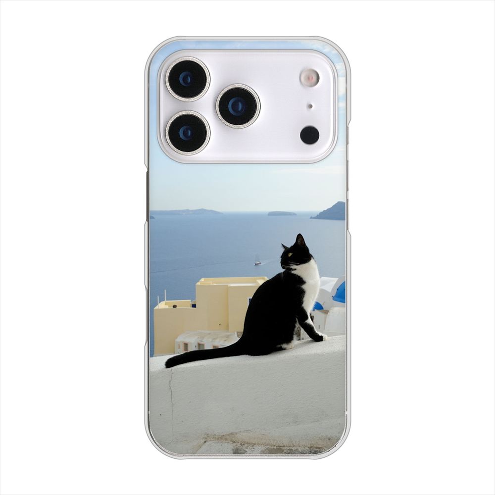iPhone 18 Pro 高画質仕上げ 背面印刷 ハードケース 【VA805 ネコと地中海】