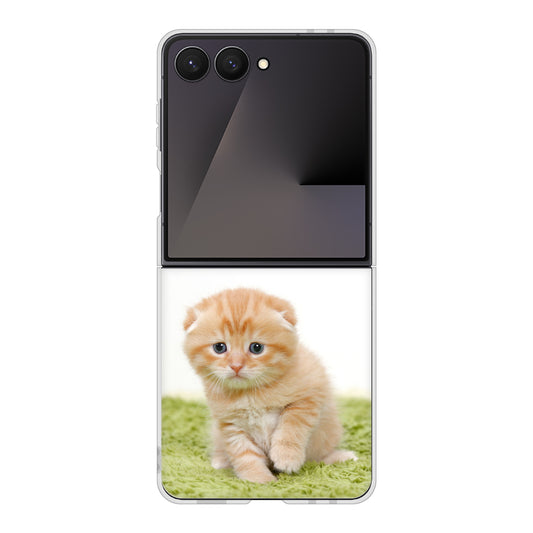 Galaxy Z Flip7 SCG35 au 高画質仕上げ 背面印刷 ハードケース 【VA802 ネコこっそり】