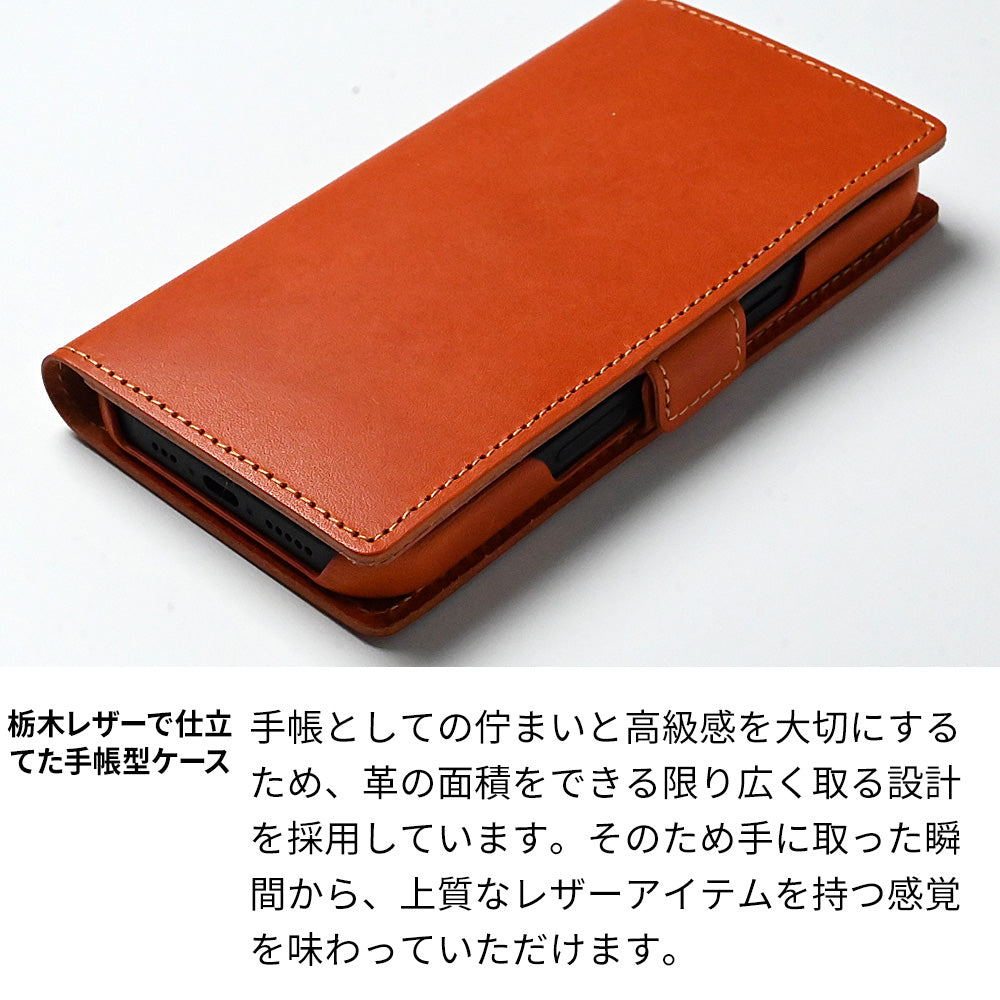 iPhone 17 レンズ完全保護 栃木レザー 手帳型ケース MagSafe対応 CAMHIDE