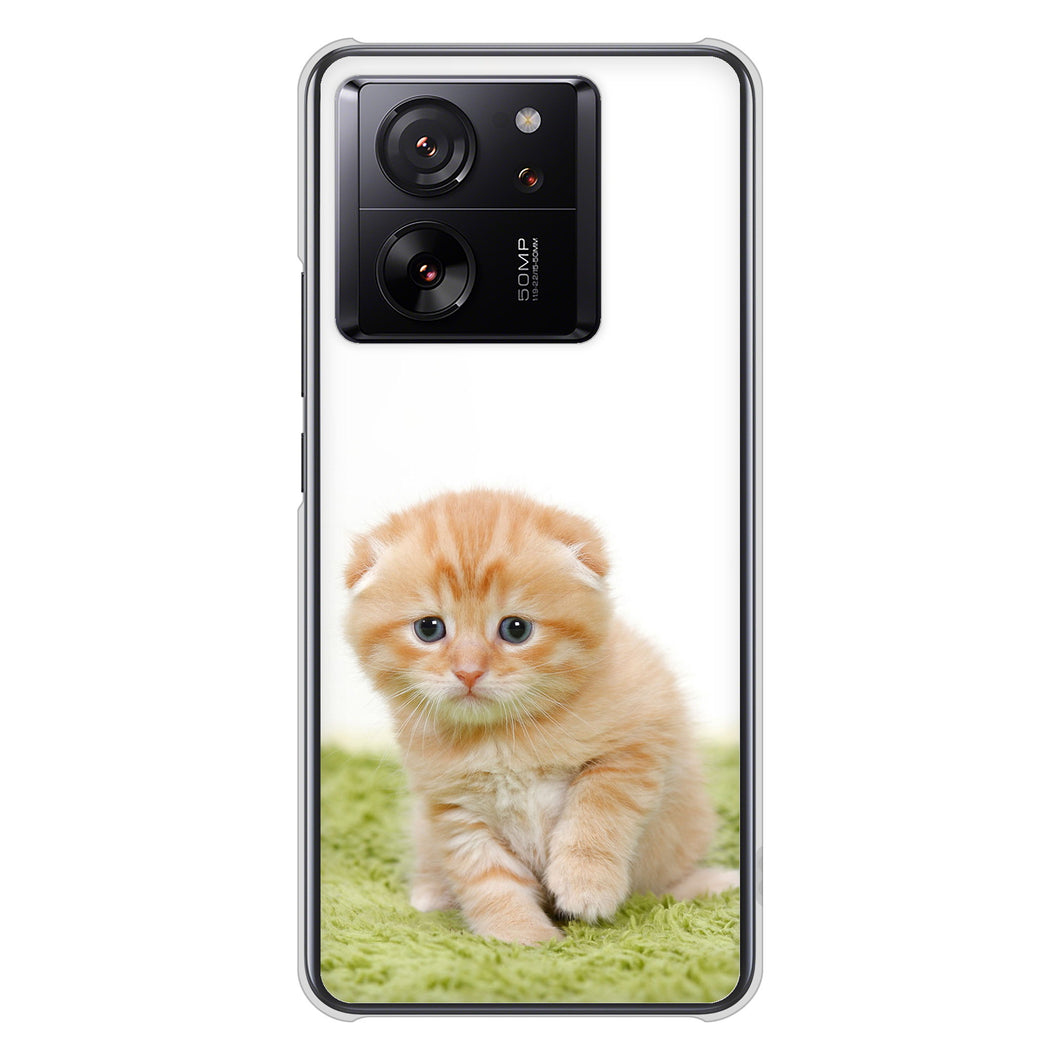 Xiaomi 13T XIG04 au VA802 ネコこっそり ハードケース 背面印刷