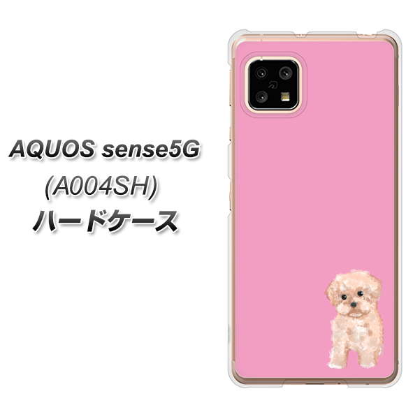 AQUOS sense5G A004SH SoftBank YJ061 トイプードルアプリコット(ピンク) ハードケース 背面印刷