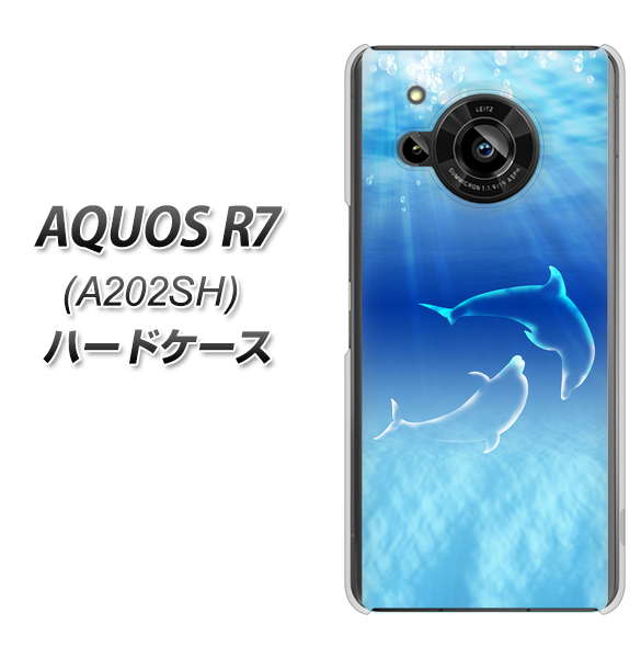 AQUOS R7 A202SH SoftBank 1048 海の守り神イルカ ハードケース 背面印刷