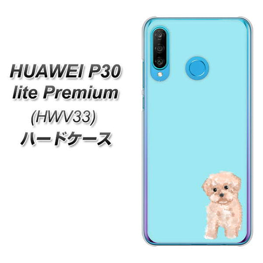 HUAWEI P30 lite Premium HWV33 au YJ062 トイプードルアプリコット(ブルー) ハードケース 背面印刷