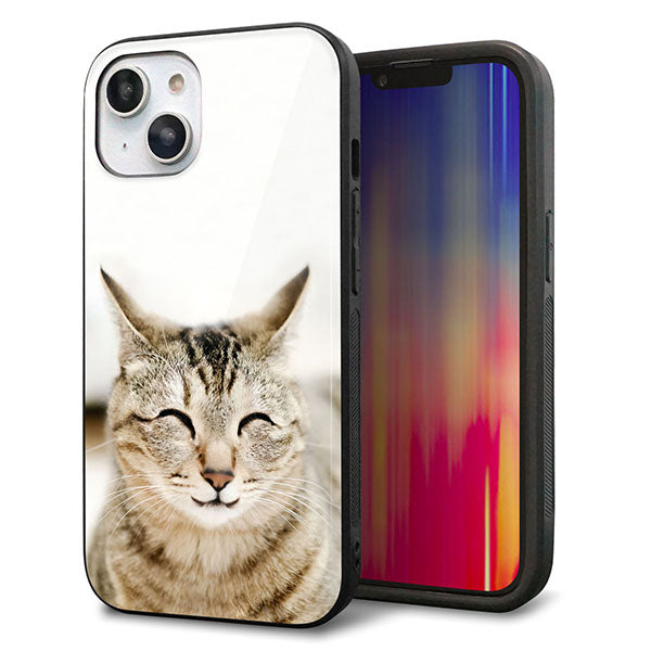 iPhone 14 強化ガラス&TPUスマホケース ガラプリ【VA801 笑福ねこ】