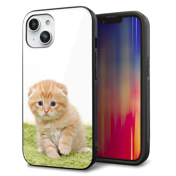 iPhone 14 強化ガラス&TPUスマホケース ガラプリ【VA802 ネコこっそり】