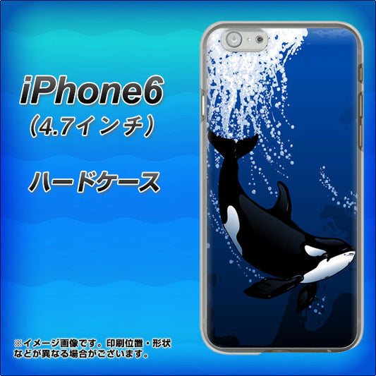 iPhone 6 423 シャチ ハードケース 背面印刷
