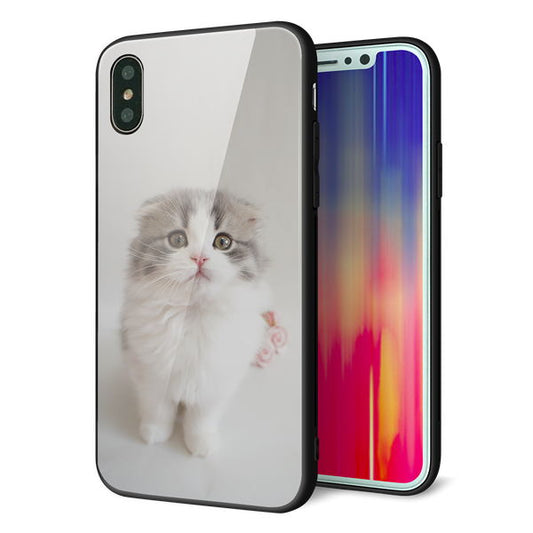 iPhone X 強化ガラス&TPUスマホケース ガラプリ【VA803 まっていますネコ】
