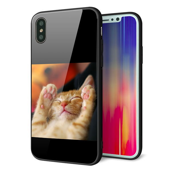 iPhone X 強化ガラス&TPUスマホケース ガラプリ【VA804 爆睡するネコ】
