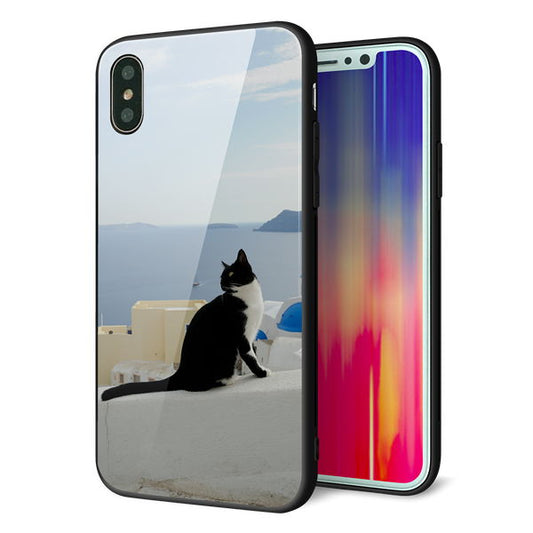 iPhone X 強化ガラス&TPUスマホケース ガラプリ【VA805 ネコと地中海】