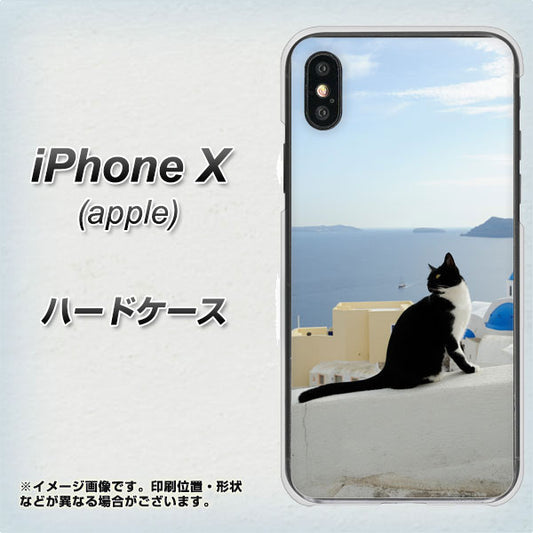 iPhone X VA805 ネコと地中海 ハードケース 背面印刷