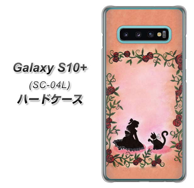 Galaxy S10+ SC-04L docomo 1096 お姫様とネコ(カラー) ハードケース 背面印刷