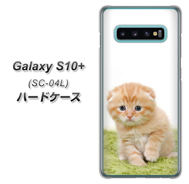 Galaxy S10+ SC-04L docomo VA802 ネコこっそり ハードケース 背面印刷