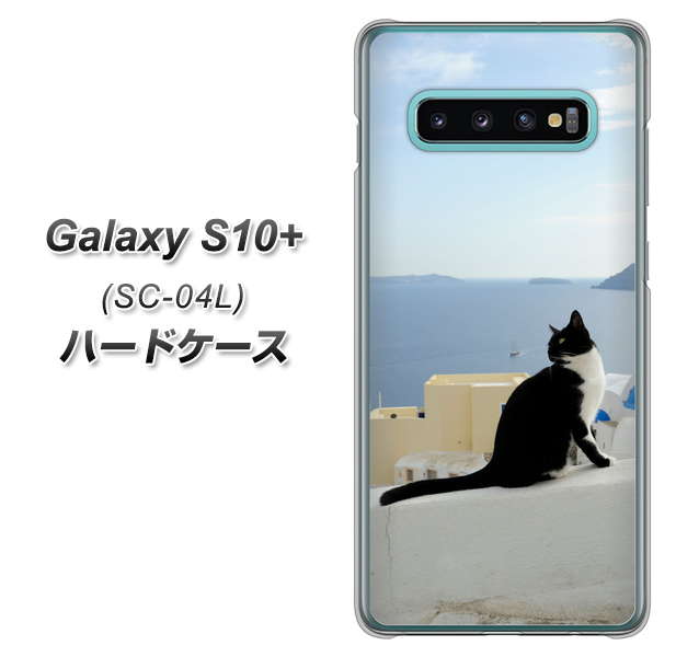 Galaxy S10+ SC-04L docomo VA805 ネコと地中海 ハードケース 背面印刷