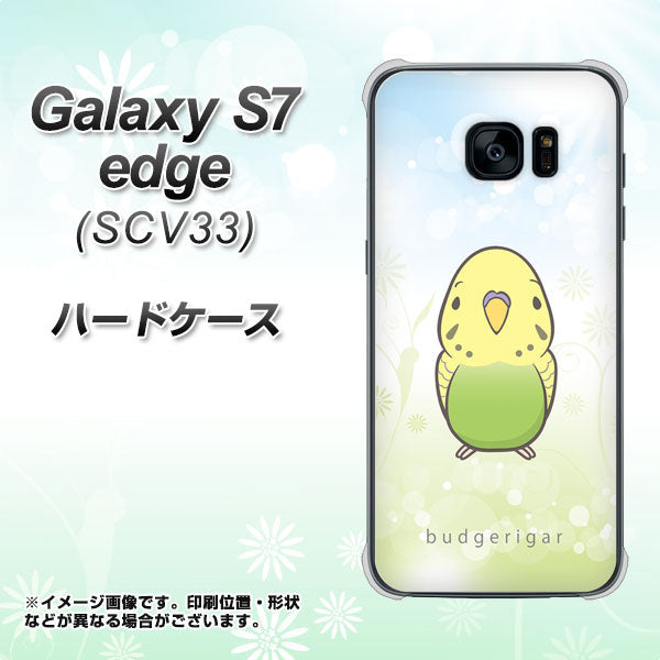 Galaxy S7 edge SCV33 au SC838 セキセイインコ グリーン ハードケース 背面印刷