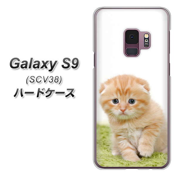 Galaxy S9 SCV38 au VA802 ネコこっそり ハードケース 背面印刷