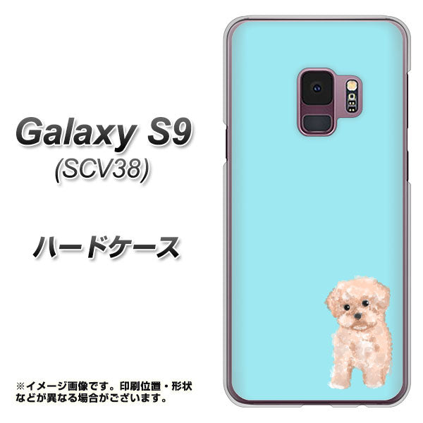 Galaxy S9 SCV38 au YJ062 トイプードルアプリコット(ブルー) ハードケース 背面印刷