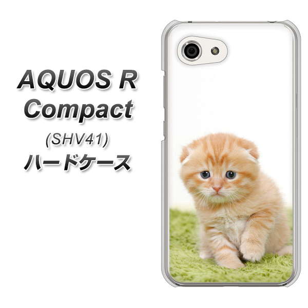 AQUOS R compact SHV41 au VA802 ネコこっそり ハードケース 背面印刷