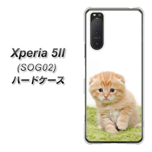 Xperia 5 II SOG02 au VA802 ネコこっそり ハードケース 背面印刷