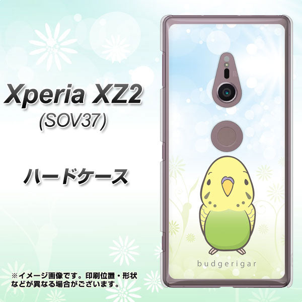 Xperia XZ2 SOV37 au SC838 セキセイインコ グリーン ハードケース 背面印刷