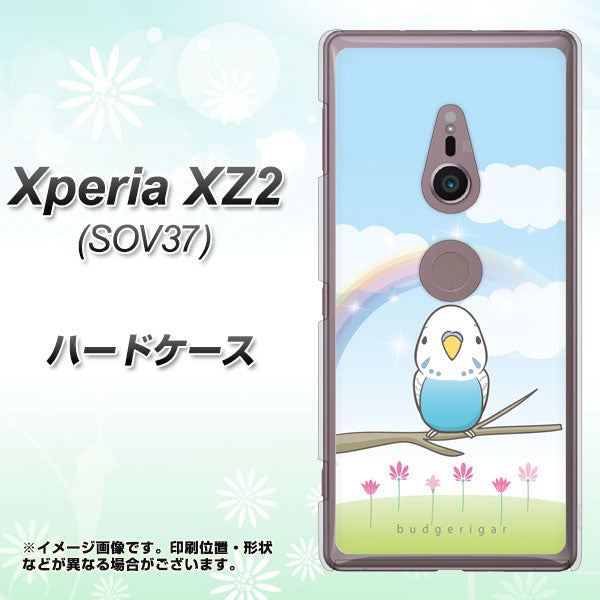 Xperia XZ2 SOV37 au SC839 セキセイインコ ブルー ハードケース 背面印刷