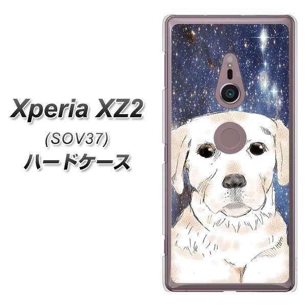 Xperia XZ2 SOV37 au YD820 ラブラドールレトリバー01 ハードケース 背面印刷