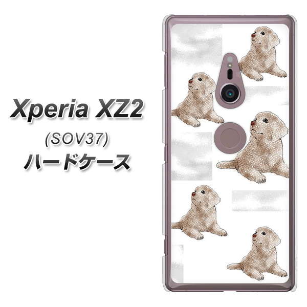Xperia XZ2 SOV37 au YD823 ラブラドールレトリバー04 ハードケース 背面印刷