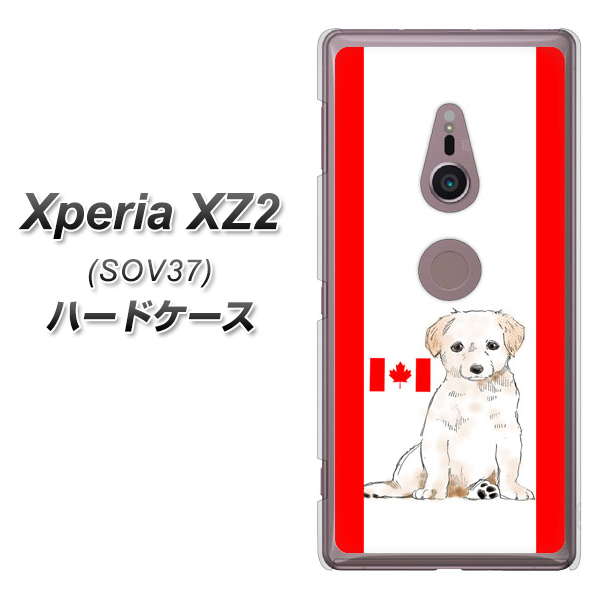 Xperia XZ2 SOV37 au YD824 ラブラドールレトリバー05 ハードケース 背面印刷
