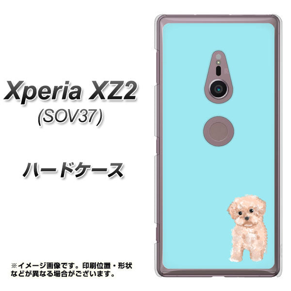 Xperia XZ2 SOV37 au YJ062 トイプードルアプリコット(ブルー) ハードケース 背面印刷