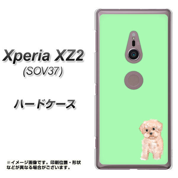 Xperia XZ2 SOV37 au YJ063 トイプードルアプリコット(グリーン) ハードケース 背面印刷