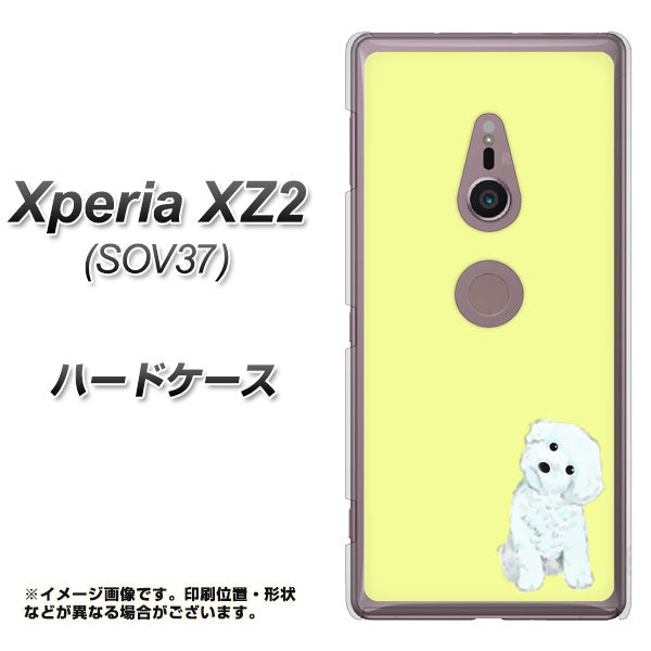 Xperia XZ2 SOV37 au YJ072 トイプードルホワイト(イエロー) ハードケース 背面印刷