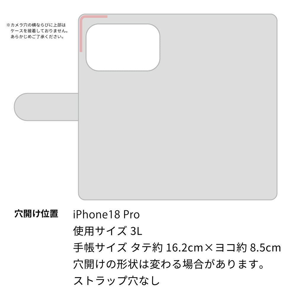 iPhone 18 Pro ビニール素材のスケルトン手帳型ケース　クリア