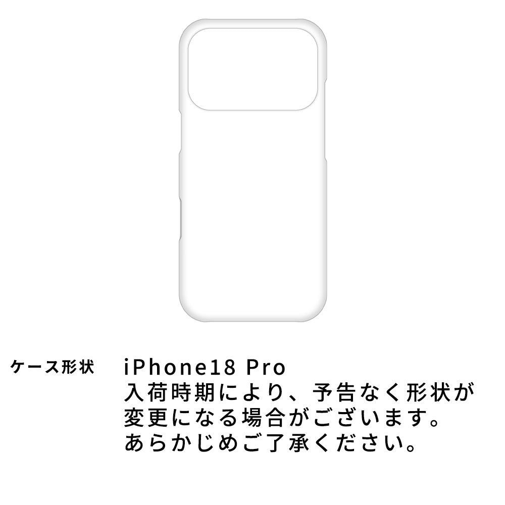iPhone 18 Pro スマホケース まるっと全貼り 姫路レザー グラデーションレザー