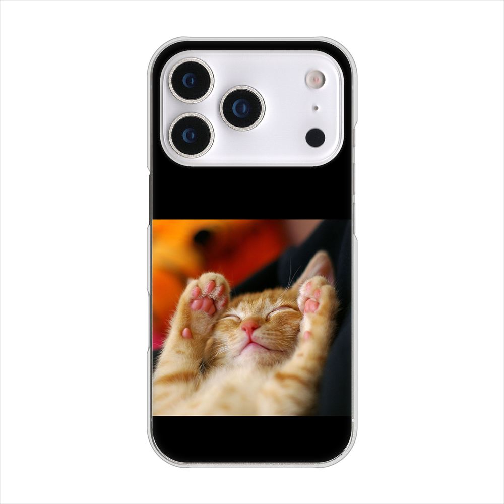 iPhone 18 Pro 高画質仕上げ 背面印刷 ハードケース 【VA804 爆睡するネコ】