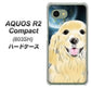 AQUOS R2 compact 803SH SoftBank YD826 ゴールデンレトリバー02 ハードケース 背面印刷