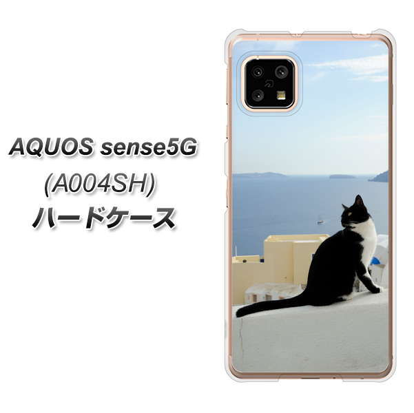 AQUOS sense5G A004SH SoftBank VA805 ネコと地中海 ハードケース 背面印刷