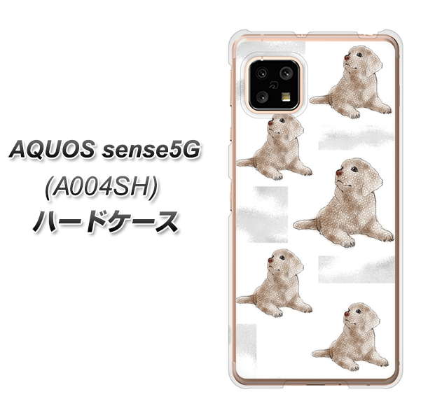 AQUOS sense5G A004SH SoftBank YD823 ラブラドールレトリバー04 ハードケース 背面印刷