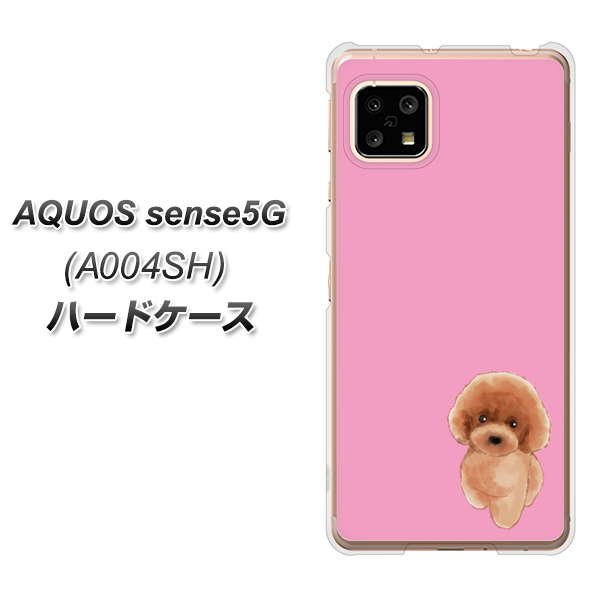 AQUOS sense5G A004SH SoftBank YJ049 トイプードルレッド（ピンク） ハードケース 背面印刷