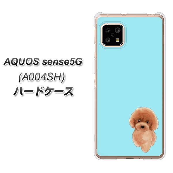 AQUOS sense5G A004SH SoftBank YJ050 トイプードルレッド（ブルー） ハードケース 背面印刷