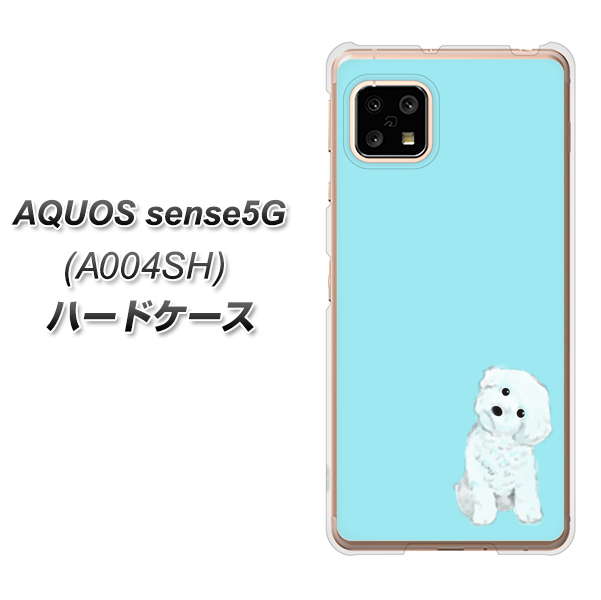 AQUOS sense5G A004SH SoftBank YJ070 トイプードルホワイト（ブルー） ハードケース 背面印刷