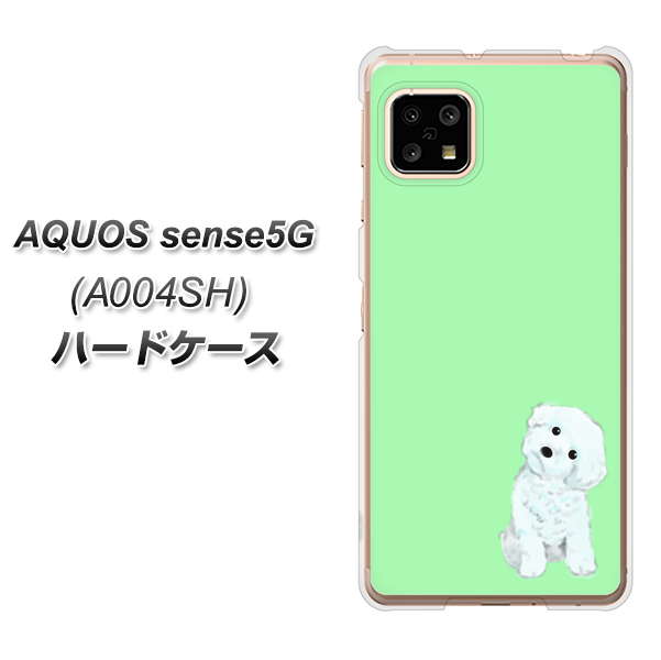 AQUOS sense5G A004SH SoftBank YJ071 トイプードルホワイト（グリーン） ハードケース 背面印刷